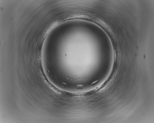 X0000069821377200605191100
