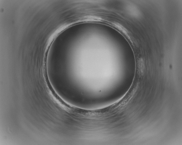 X0000069821379200605191100