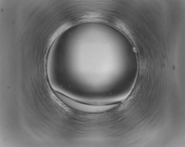 X0000069821386200605191100