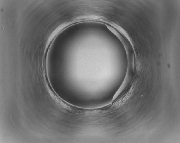 X0000069821389200605191100
