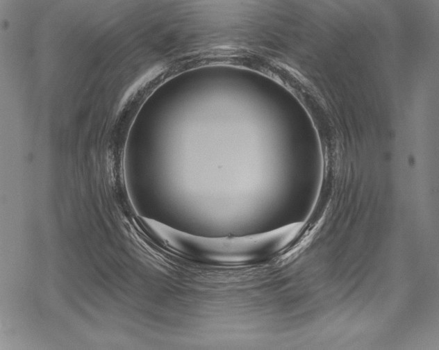 X0000069821402200605191059