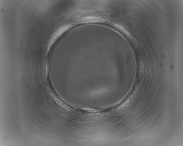 X0000069821413200605191059