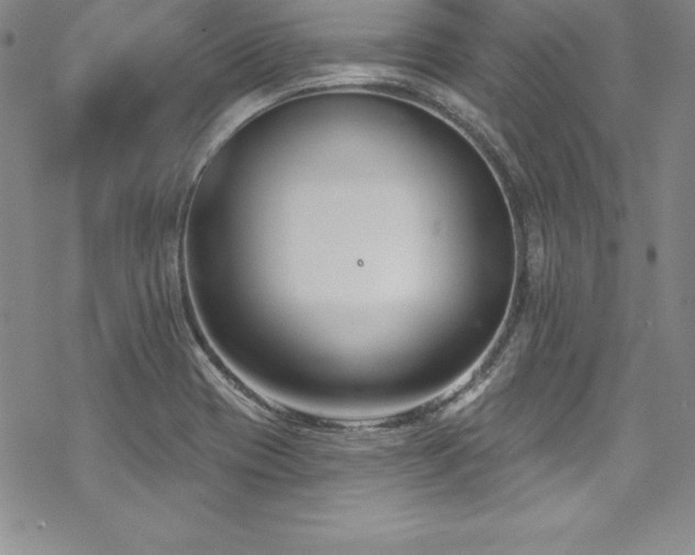 X0000069821417200605191059