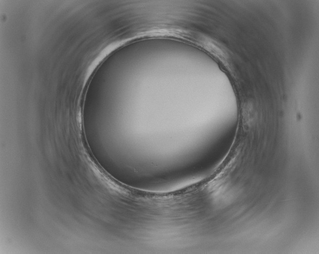X0000069821428200605191059