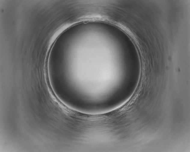 X0000069821440200605191100