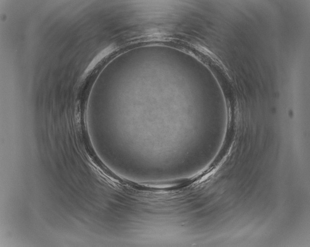 X0000069821450200605191059