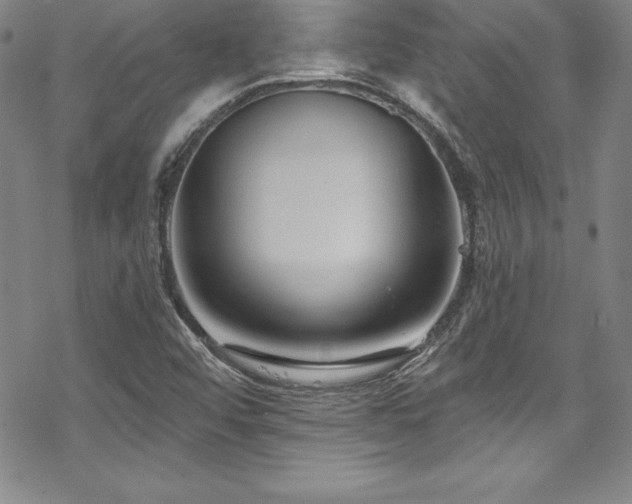 X0000069821456200605191058