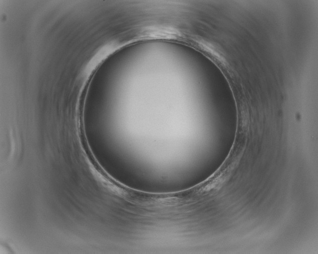 X0000069821471200605191058