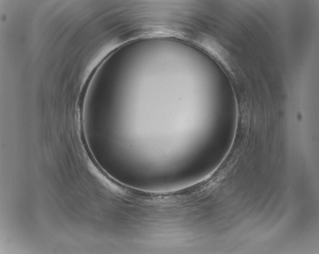 X0000069821476200605191058