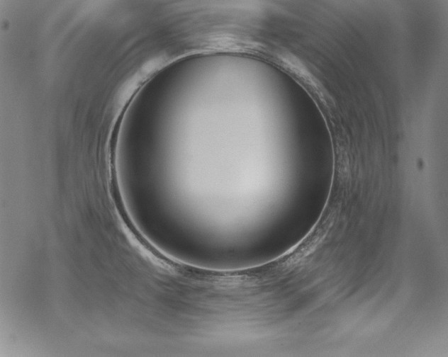 X0000069821479200605191058