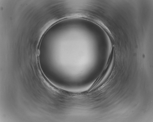 X0000069821484200605191058