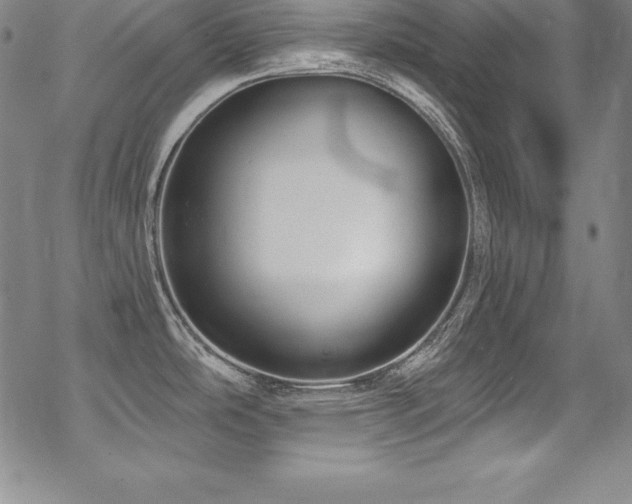 X0000069821486200605191058