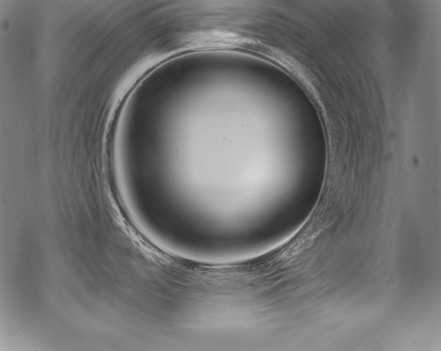 X0000069821488200605191058