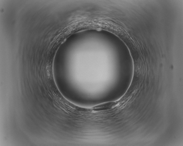 X0000069821490200605191057
