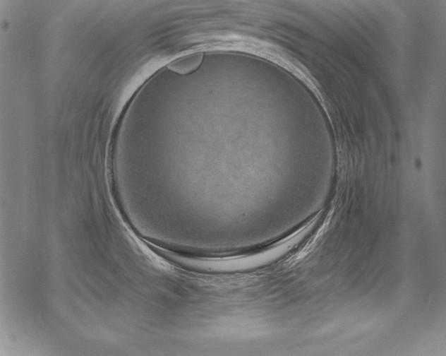 X0000069821533200605191058