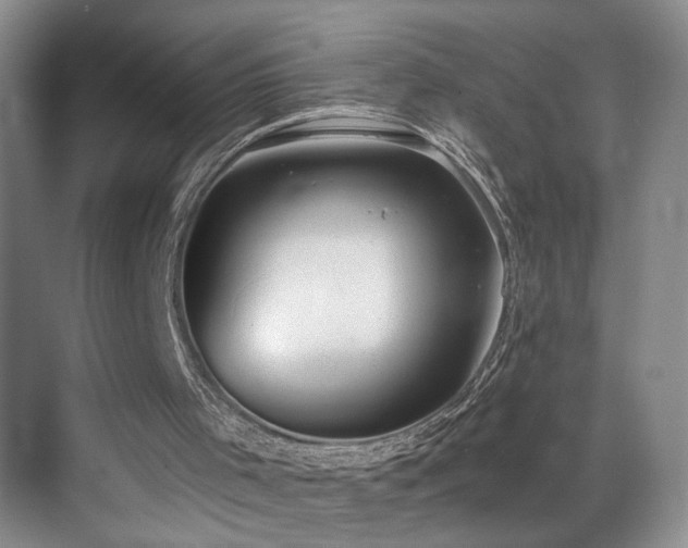 X0000069820001200605221242