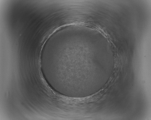 X0000069820002200605221242