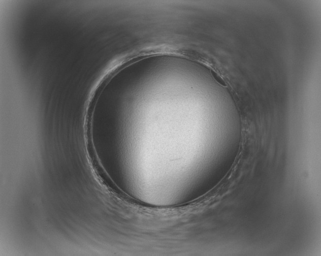 X0000069820006200605221242