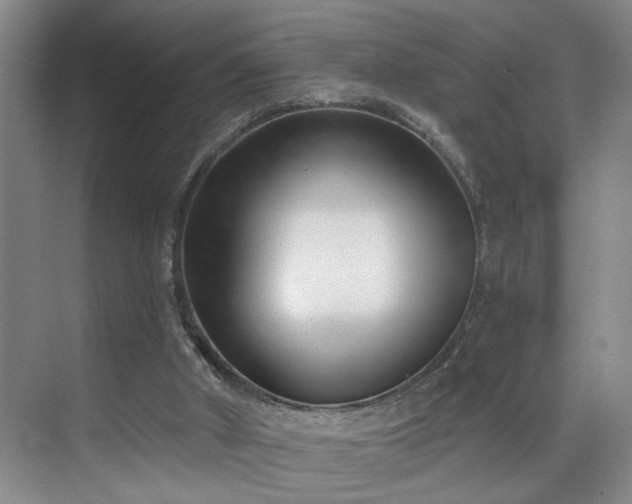 X0000069820010200605221242