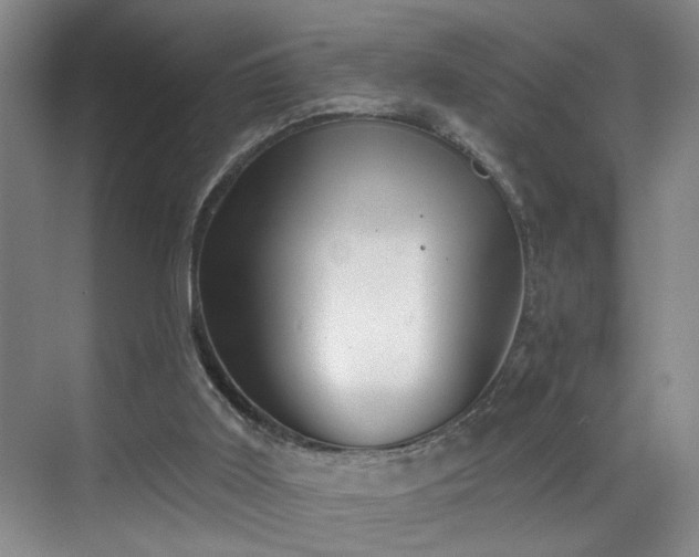 X0000069820011200605221242