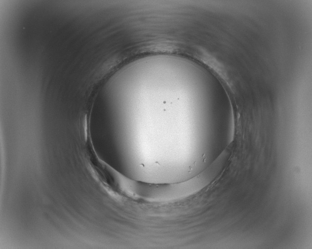 X0000069820013200605221242