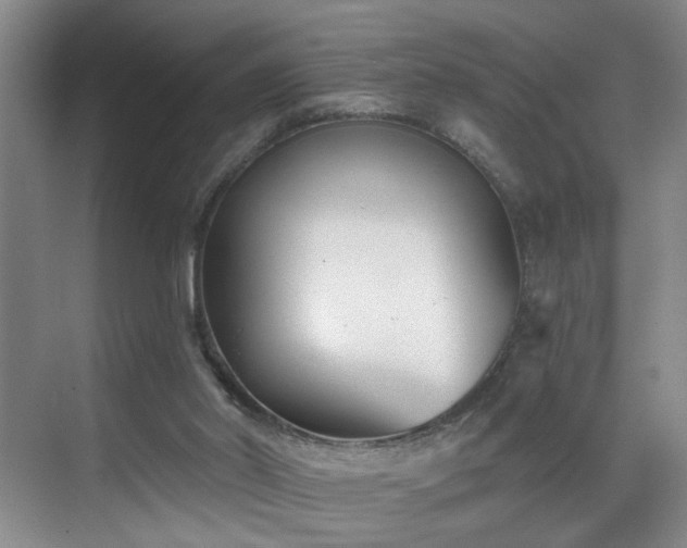 X0000069820014200605221242