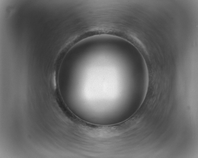 X0000069820020200605221242