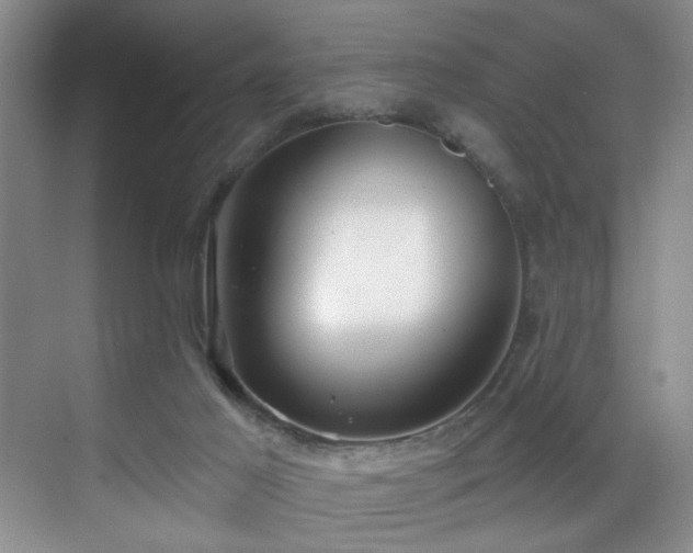 X0000069820021200605221242
