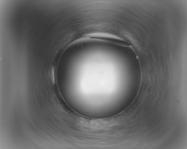 X0000069820022200605221242