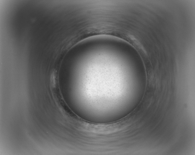 X0000069820026200605221242