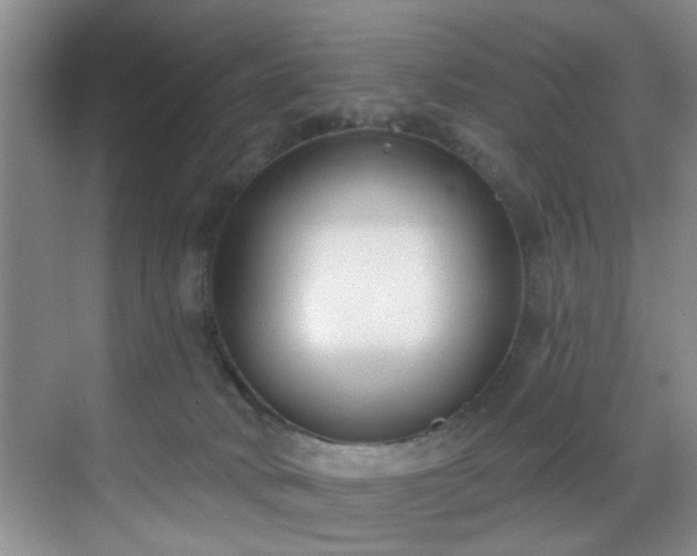 X0000069820034200605221242