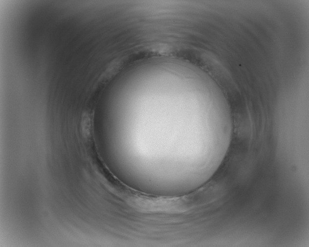 X0000069820036200605221242