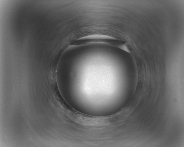 X0000069820044200605221242