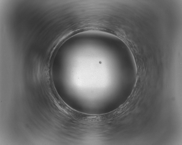 X0000069820050200605221241