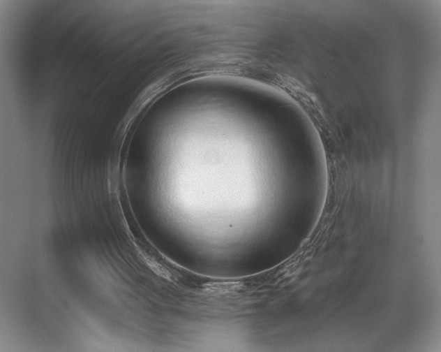 X0000069820051200605221241