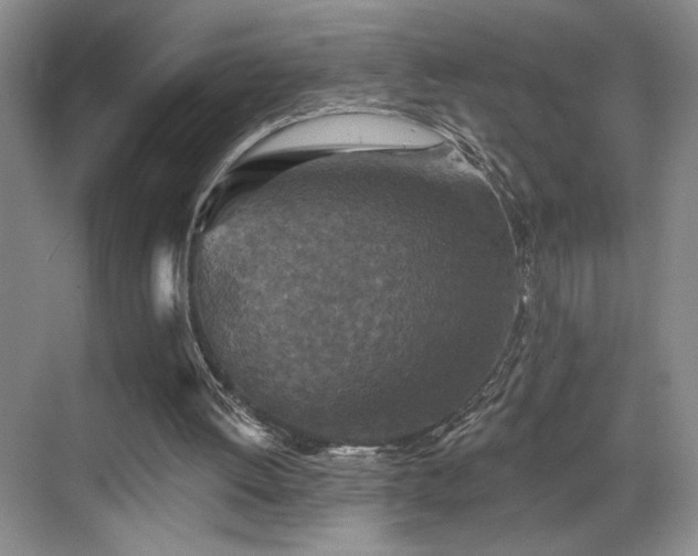 X0000069820052200605221241
