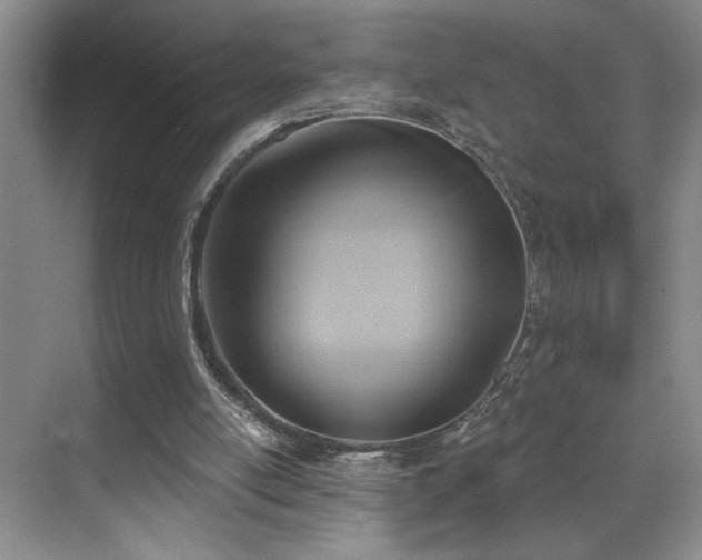X0000069820054200605221241
