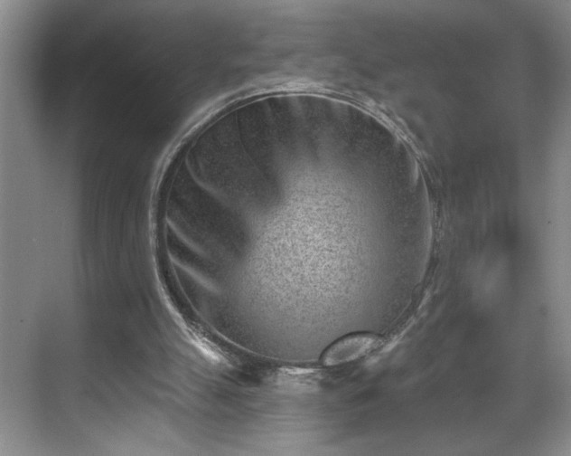 X0000069820055200605221241