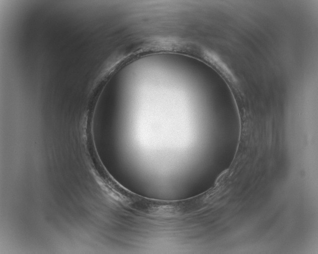 X0000069820058200605221241