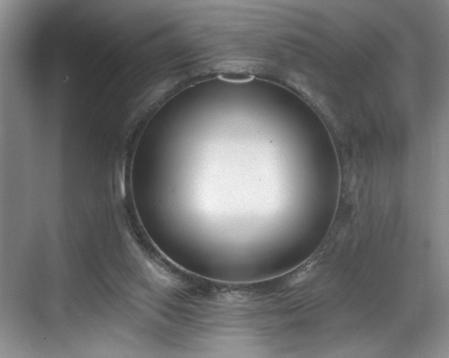 X0000069820062200605221241