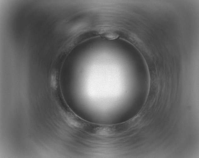 X0000069820074200605221241