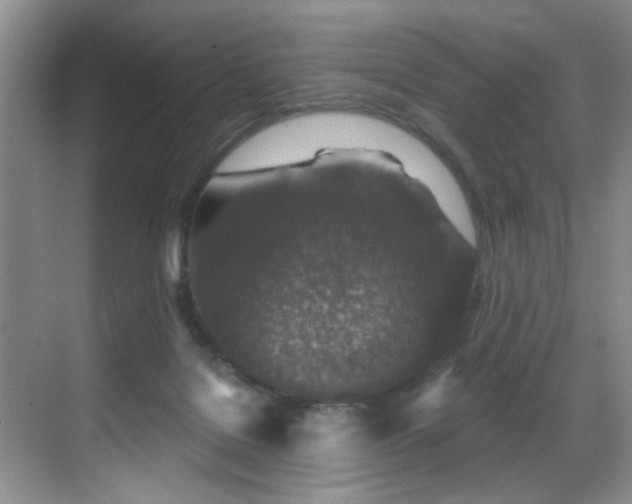 X0000069820076200605221241