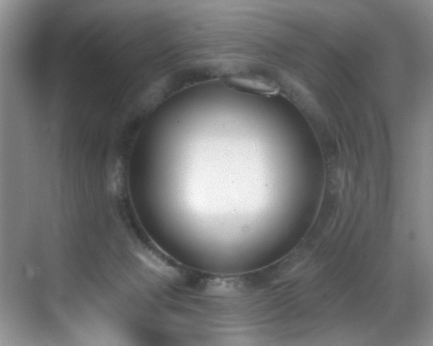X0000069820077200605221241