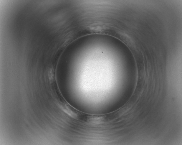 X0000069820081200605221241