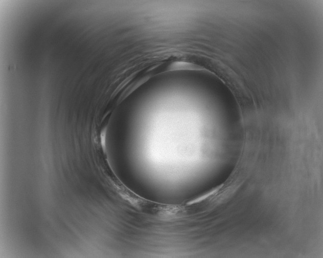X0000069820096200605221242