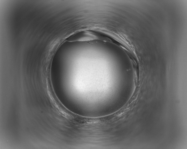 X0000069820097200605221241