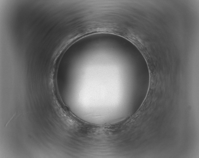 X0000069820098200605221241