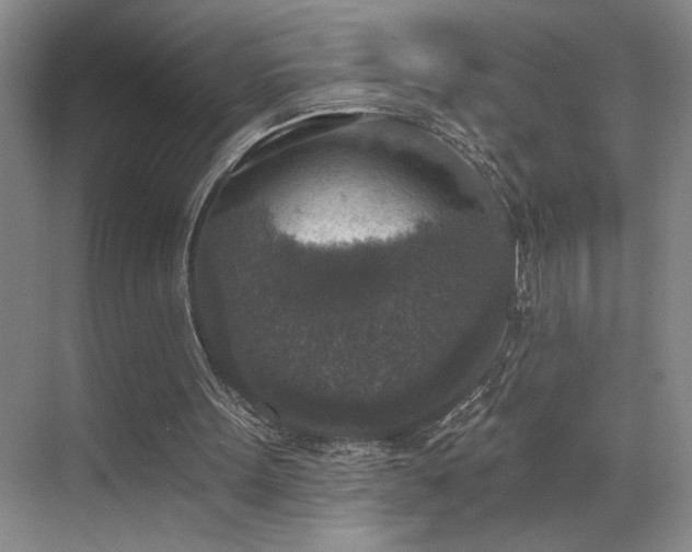 X0000069820099200605221241