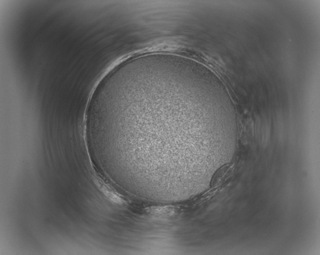 X0000069820100200605221241