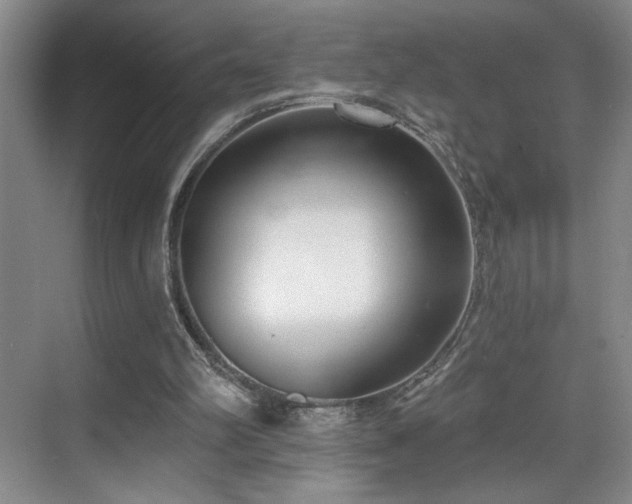 X0000069820102200605221241
